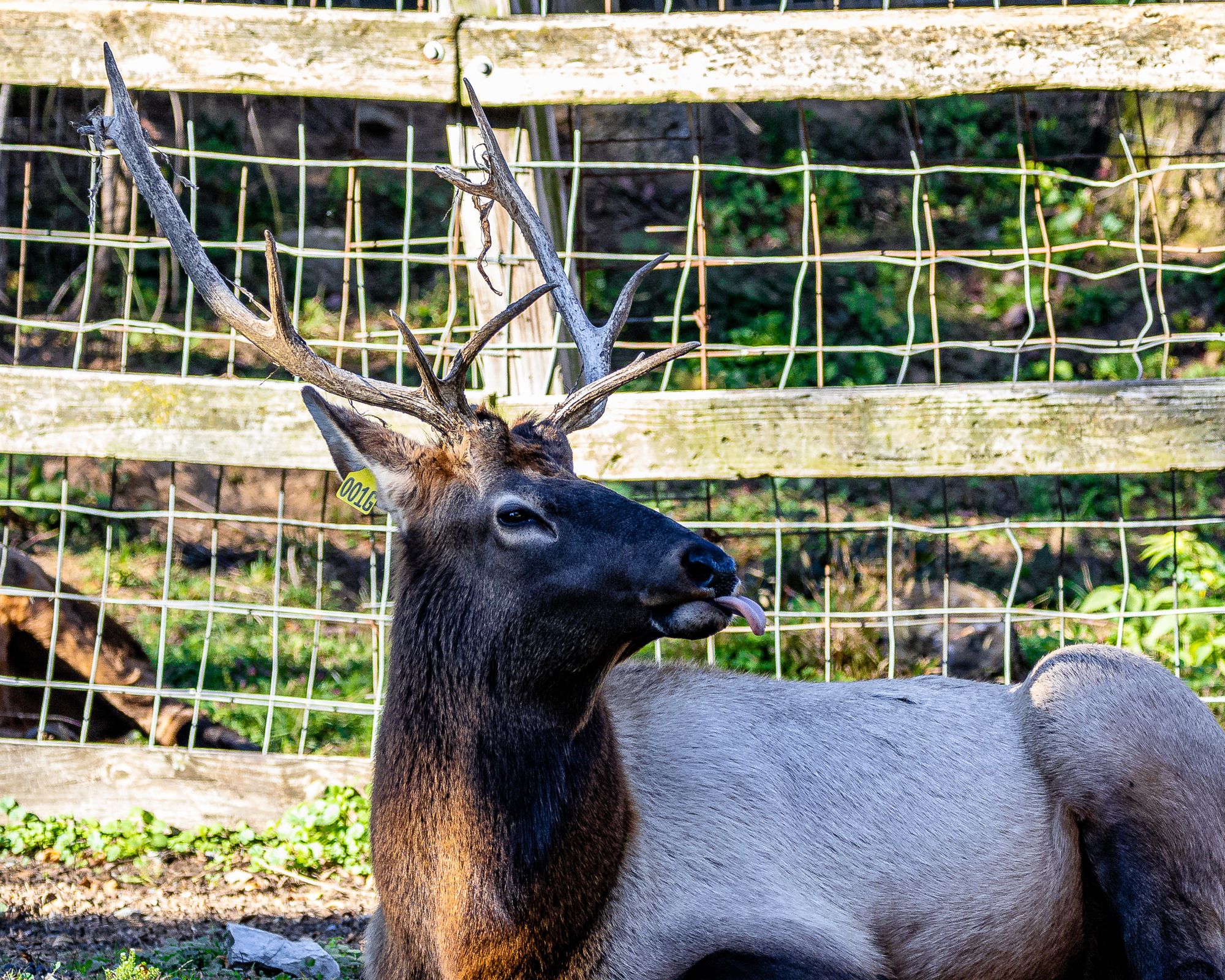 ZooAmerica at Hershey Park