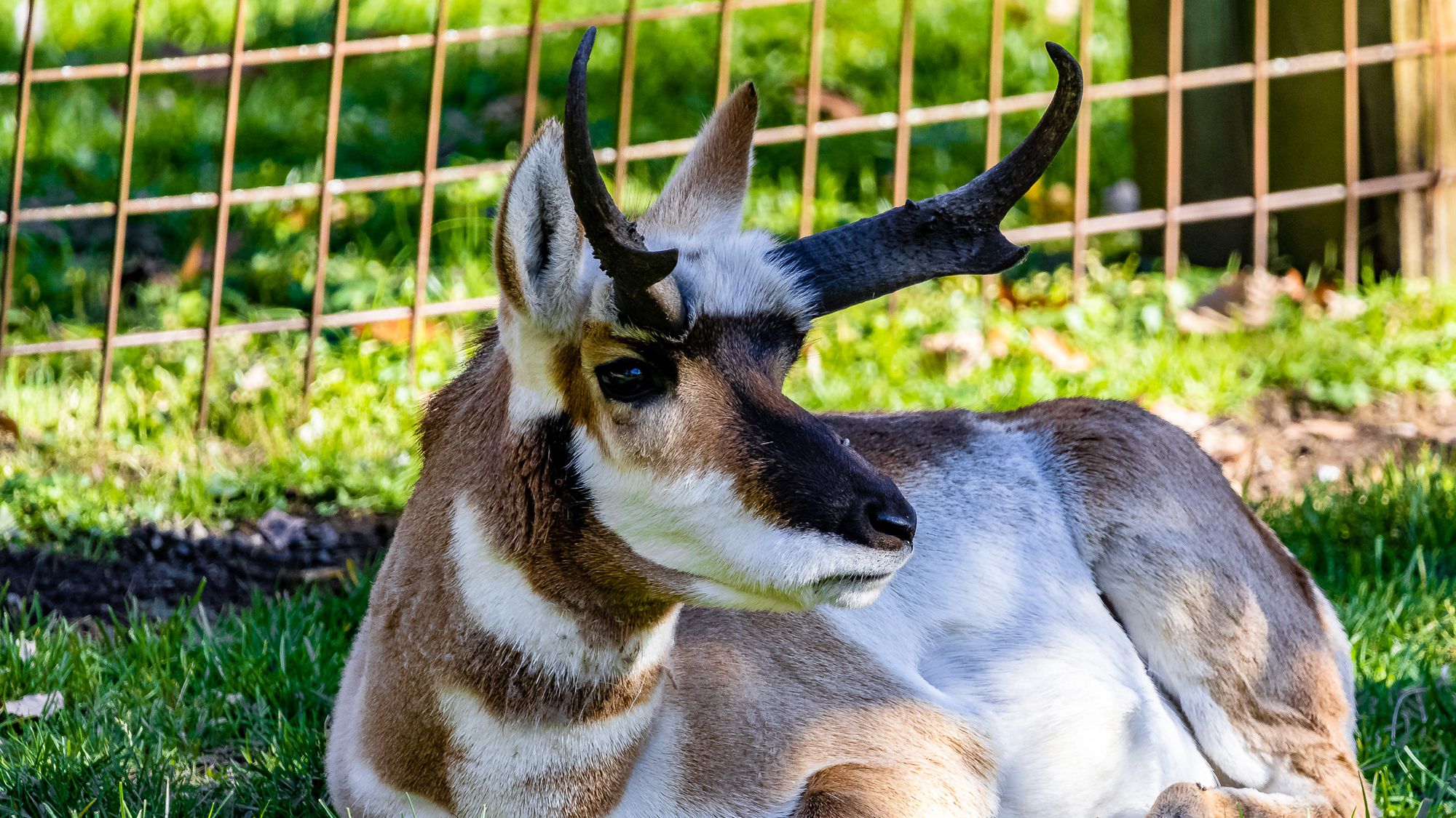 ZooAmerica at Hershey Park