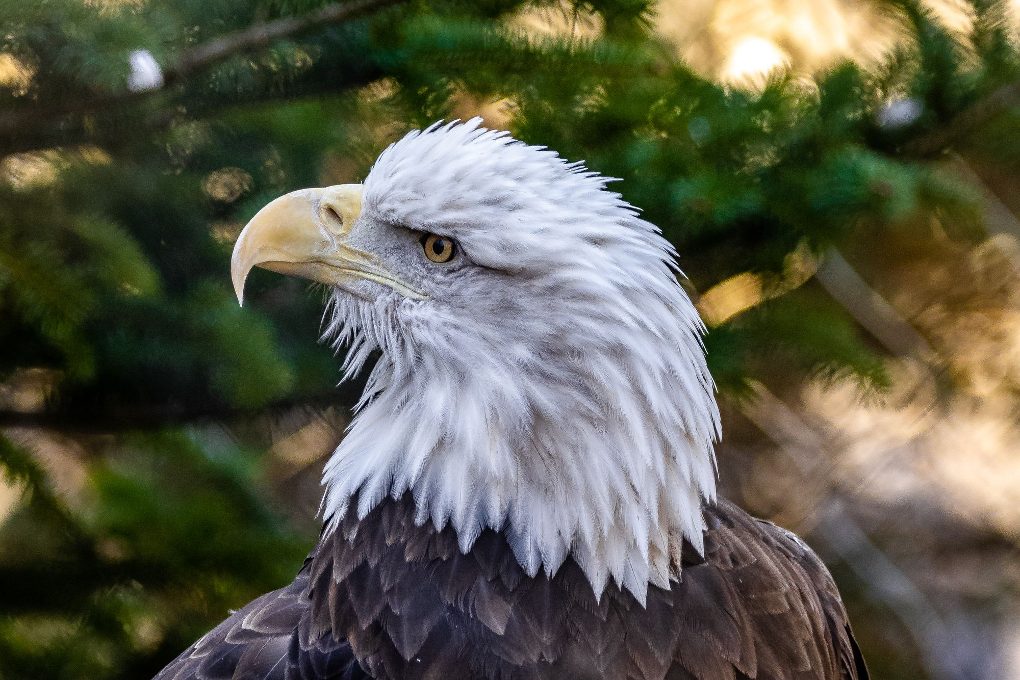 ZooAmerica at Hershey Park