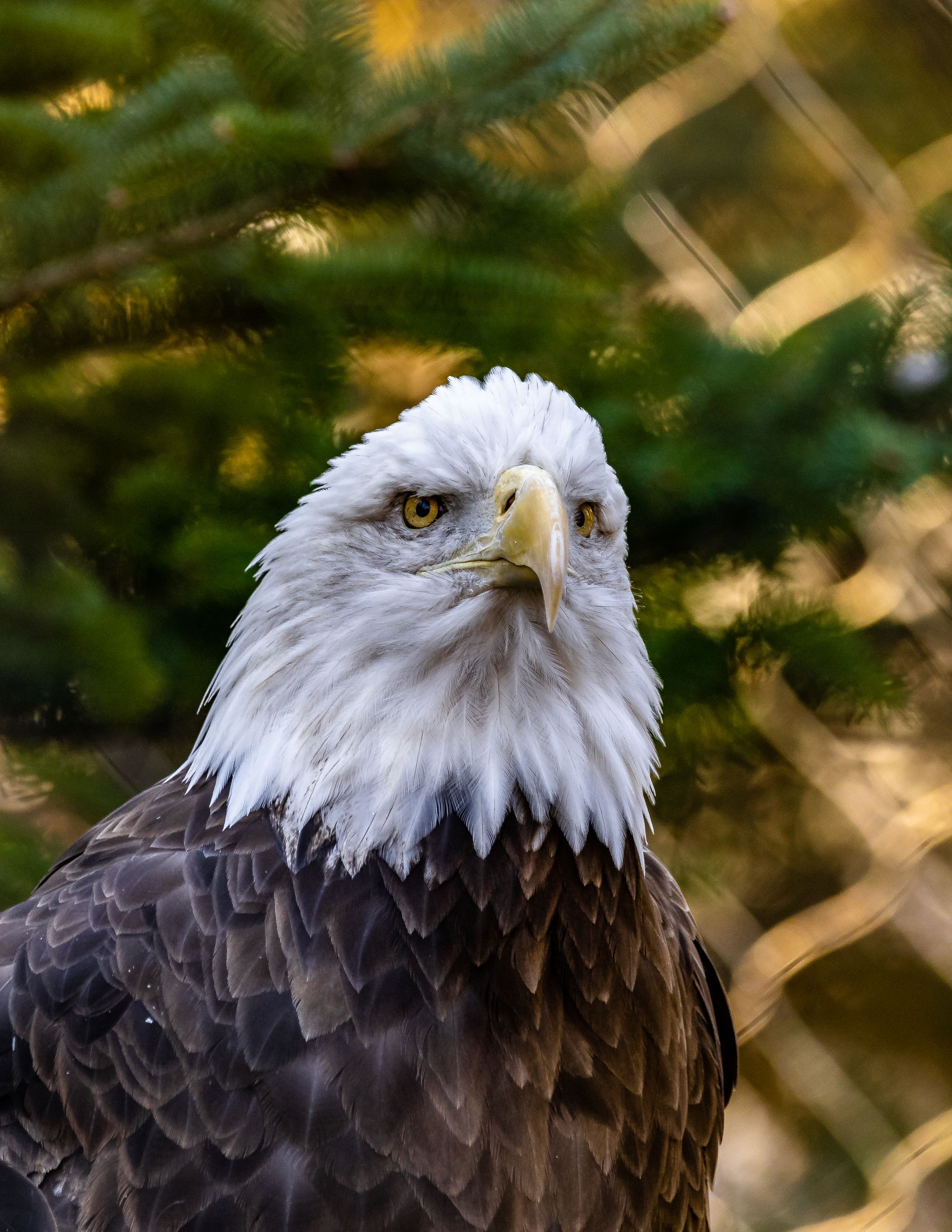 ZooAmerica at Hershey Park