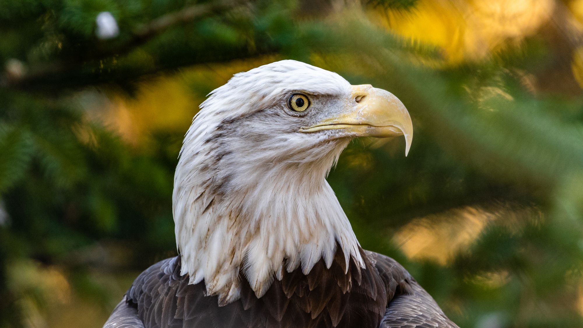 ZooAmerica at Hershey Park