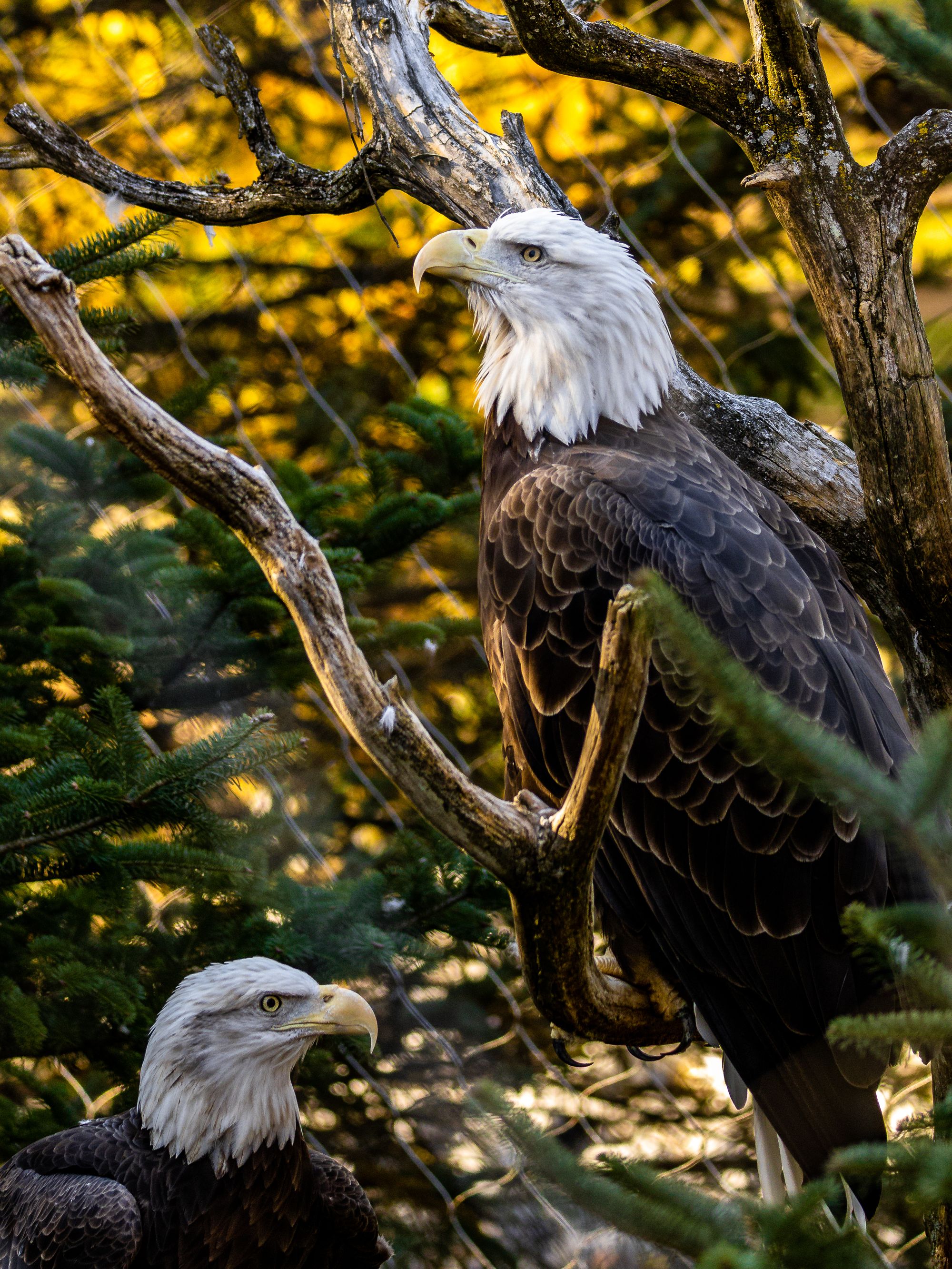 ZooAmerica at Hershey Park