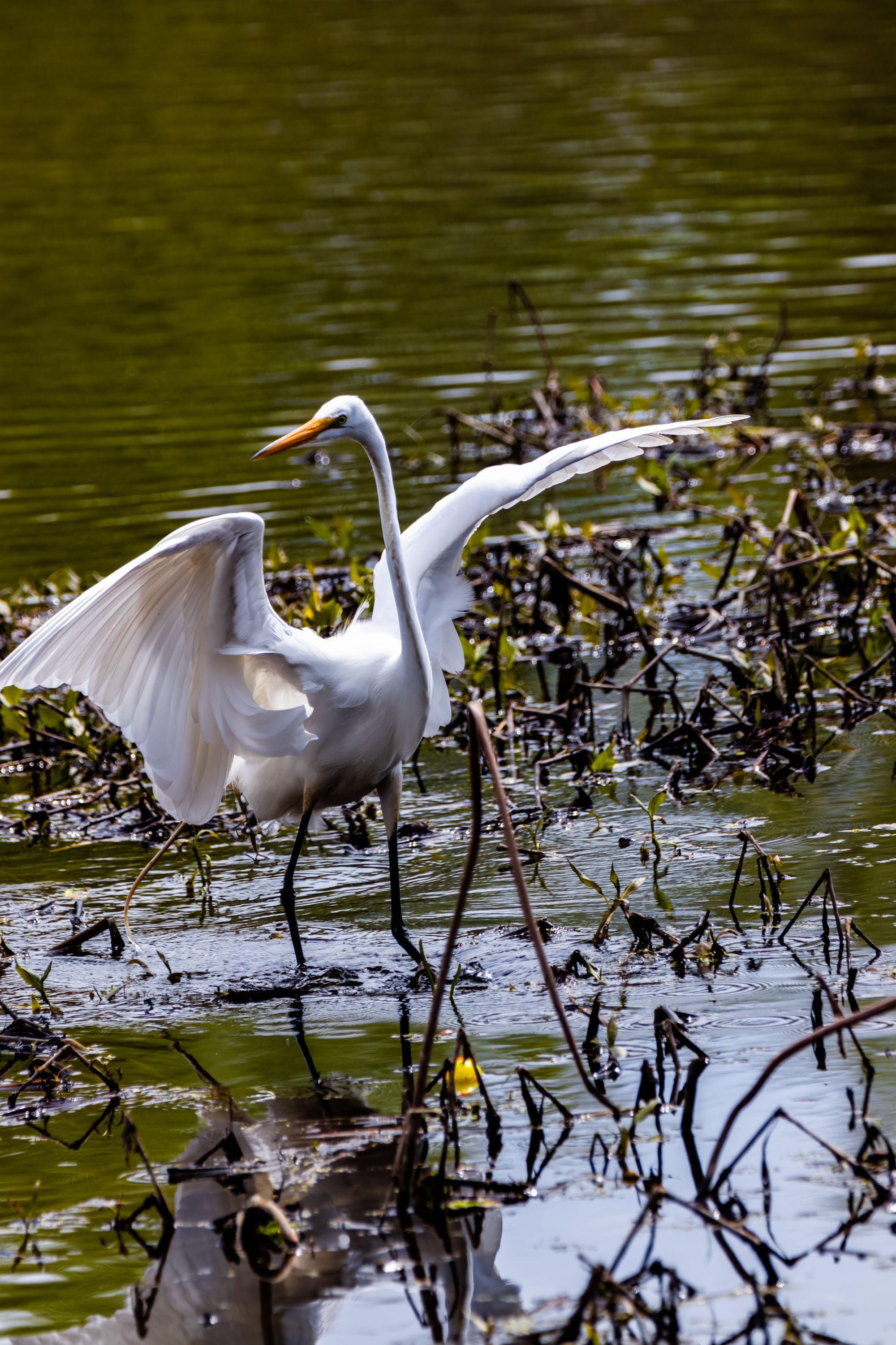 Early Spring Outting