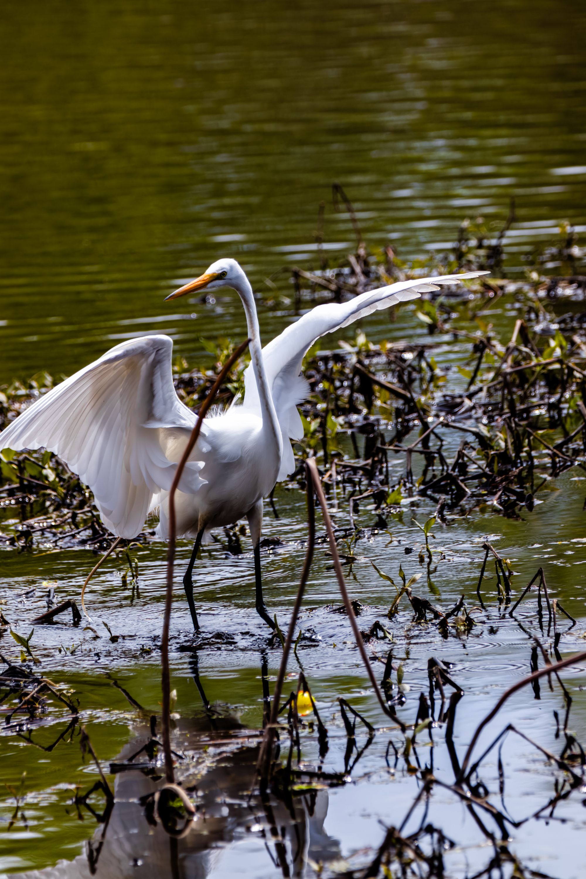 Early Spring Outting