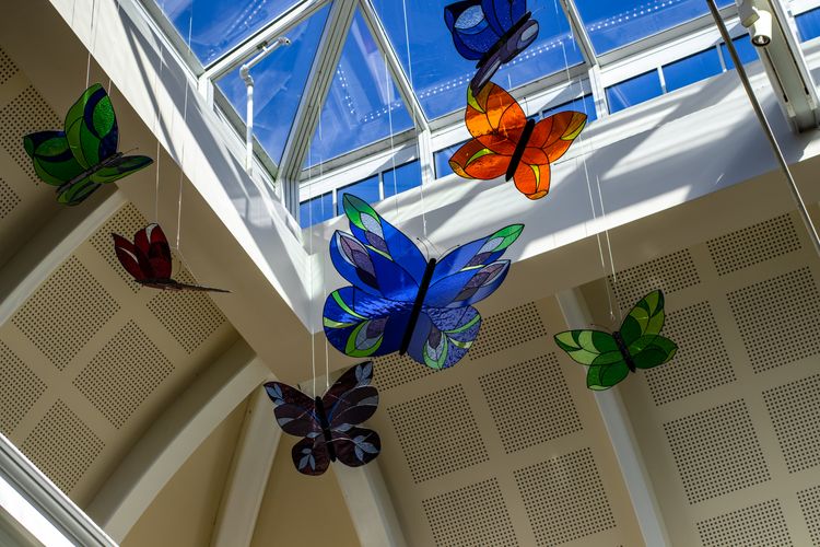 Butterfly Atrium at Hershey Gardens