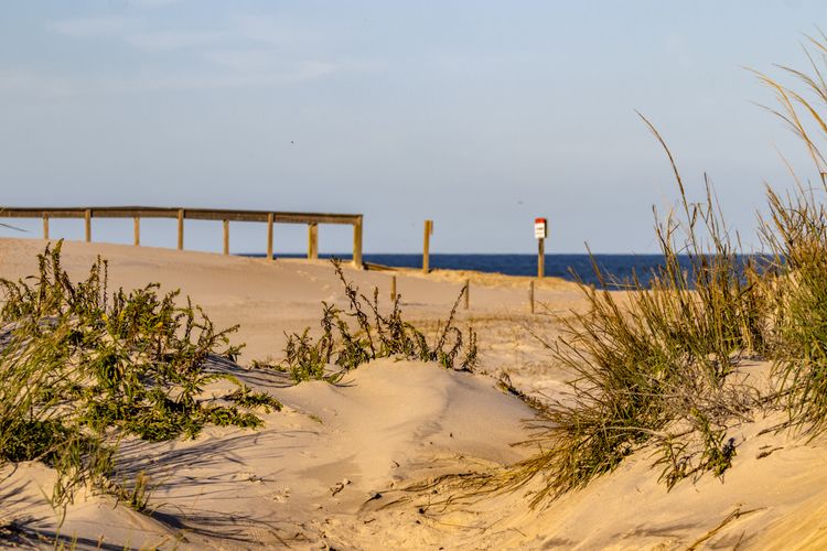 Assateague Island