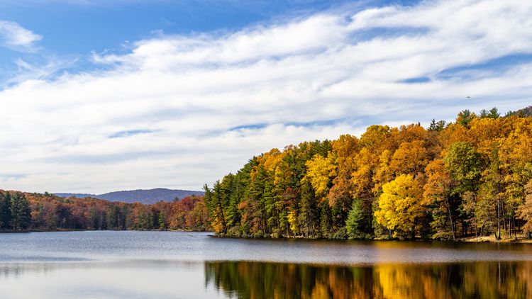 Cowan's Gap State Park