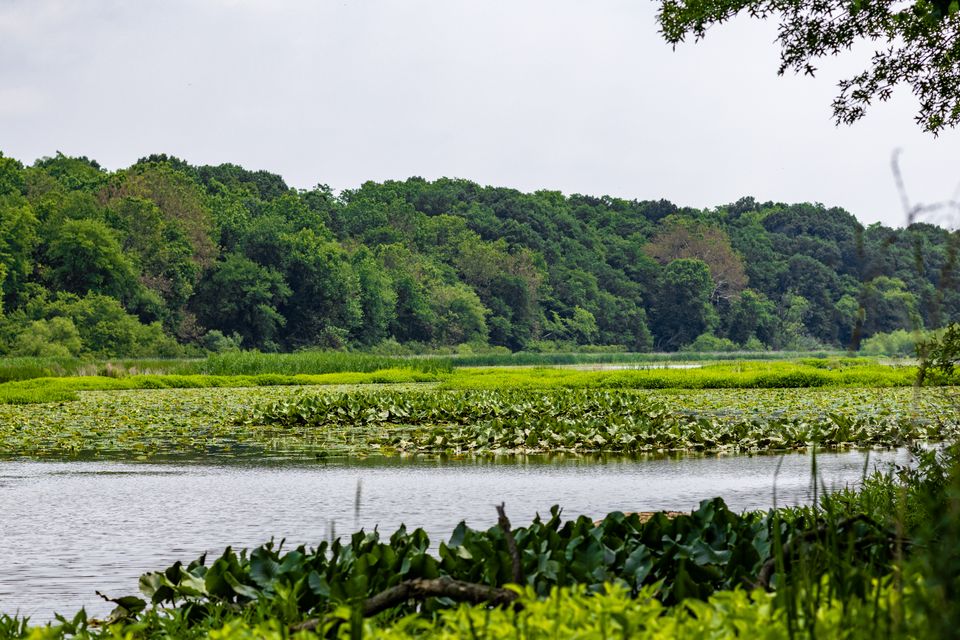 Wildwood Lake